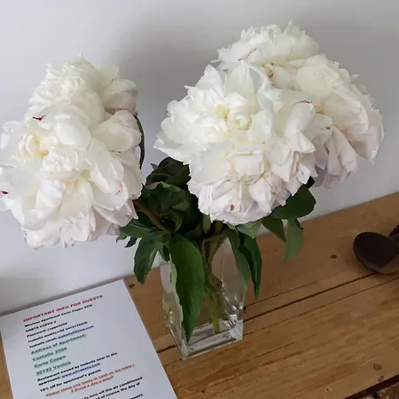 Corte Coppo Superior Appartement *